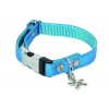 Collier pour chien nylon Disco turquoise -  1,5 x 23 à 33 cm