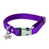Dog collar - nylon Disco purple - 1,5 x 23 à 33 cm