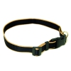 Collier pour chien - Safran