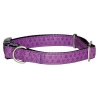 Doremi purple dog collar - 35 to 55cm x 2cm