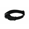Adjustable dog collar black nylon - W10mm L20 to 30cm