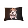 Dog cushion - Téo Dandy - diam 50cm