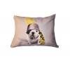 Coussin pour chien et chat - Téo Dude pour chien