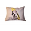 Dog cushion - Téo Dude - diam 50cm