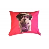 Dog cushion - Téo Groovy - diam 50cm