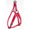 Step in harness for cat - Egypt