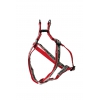 Step in harness for cat - Rigolos - Chat m'énerve