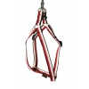 Step in dog harness - Baya - W15mm L25 to 42cm