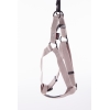 Step in harness for dog grey nylon - W20mm L 50 to 70cm