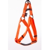 Step in harness for dog orange nylon - W40mm L 90 to 110cm