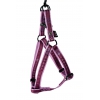 Step in dog harness - Pet connection purple - W16mm L35 to 50cm