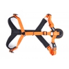 Harnais Canicross Basic ARKA - Orange