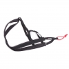 Harnais Canicross Xback taille M