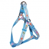 Circus Blue harness - 50 to 65cm x 2cm