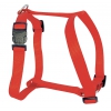 Dog harness - classical - black -  red - from 50 to 90 x 2,5cm
