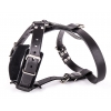 Dog harness - cozy black leather - 50 à 59cm  x 2,1 cm