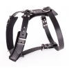 Dog harness - cozy black leather - 65 à 73cm x 2,5 cm