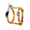 Dog harness - Fun orange - 2.5x70/90cm