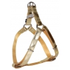 Golden sun harness - 50 to 65cm x 2cm