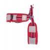 Harnais norvégien de sport pour chien - Arka Haok - Taille M - ROUGE - tour de poitrail 55 à 70cm - tour de cou 50 à 62cm