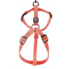 Dog harness - nylon Gold reflex - 1,6 x 35 > 50 cm