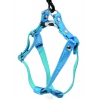 Dog harness - Disco blue turquoise - Width 15 mm - Lenght 35 to 45 cm