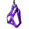Dog harness - Disco purple turquoise - Width 15 mm - Lenght 35 to 45 cm