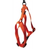 Dog harness - nylon orange - 1 x 25 à 35 cm