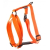 Dog harness - nylon orange - 2 x 50 à 70 cm
