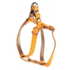 Dog harness - nylon orange peas - Width 10 mm - Lenght from 25 to 35 cm