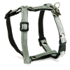 Harnais nylon pour chien - So chic vert