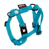 Dog harness - blue turquoise - 1 x 25 à 35 cm