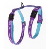 Harnais pour chat - Bi-color - violet