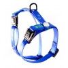 Harness for cat - Fish & Star - blue