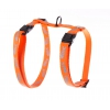 Harnais pour chat - Fluo Fish - orange