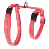 Harnais pour chat - Fluo Fish - rose