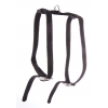 Cat harness - black - W10mm L35 to 40cm
