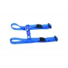Harness for cat - cat paws - blue