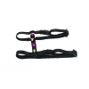 Harness for cat - cat paws - black