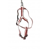 Dog harness - Baya - W15mm L36 to 56cm