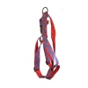 Blue red dog harness - original paw - W 40mm L 90 to 110cm