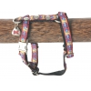 Harnais pour chien - Bowxy rouge - larg 10mm Long 25 à 35cm