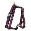 Dog harness - Chile