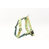 Dog harness - Green's Floralie - M - W25mm L45 to 65cm