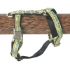 Dog harness - Oliver green - W10mm L25 to 35cm