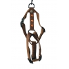 Dog harness - orange butterflies - W16mm L30 to 50cm