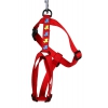 Harnais pour chien - rouge motifs chiens