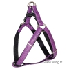 Doremi purple harness - 50 to 65cm x 2cm