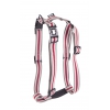 Harnais TRIO  Gris - 10-25/35