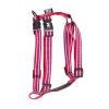 Harnais TRIO Rouge - 20-50/70